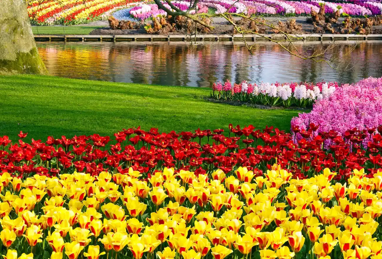 Types of Keukenhof tickets